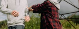 Why do siblings fight?
